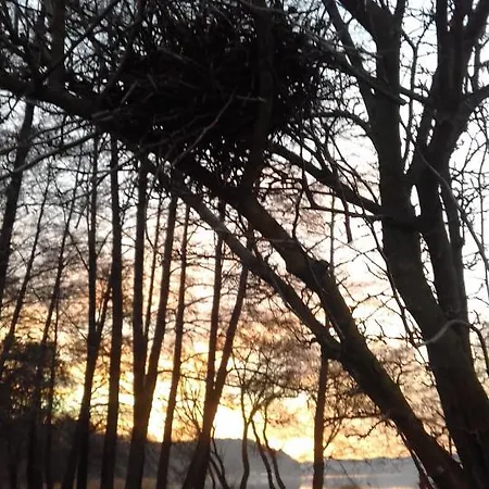 Dom Pod Sosnami Holiday home *