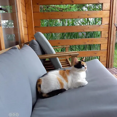 Dom Pod Sosnami Lidzbark Welski